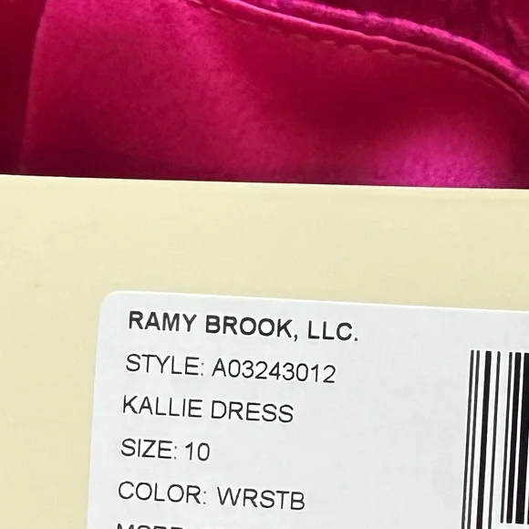 NWT💕Ramy Brook Kallie Wild Rose Springtime Burnout Mini Dress in Rose Burnout - Picture 14 of 16